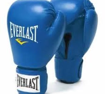 Everlast Boxing GlovesBlue